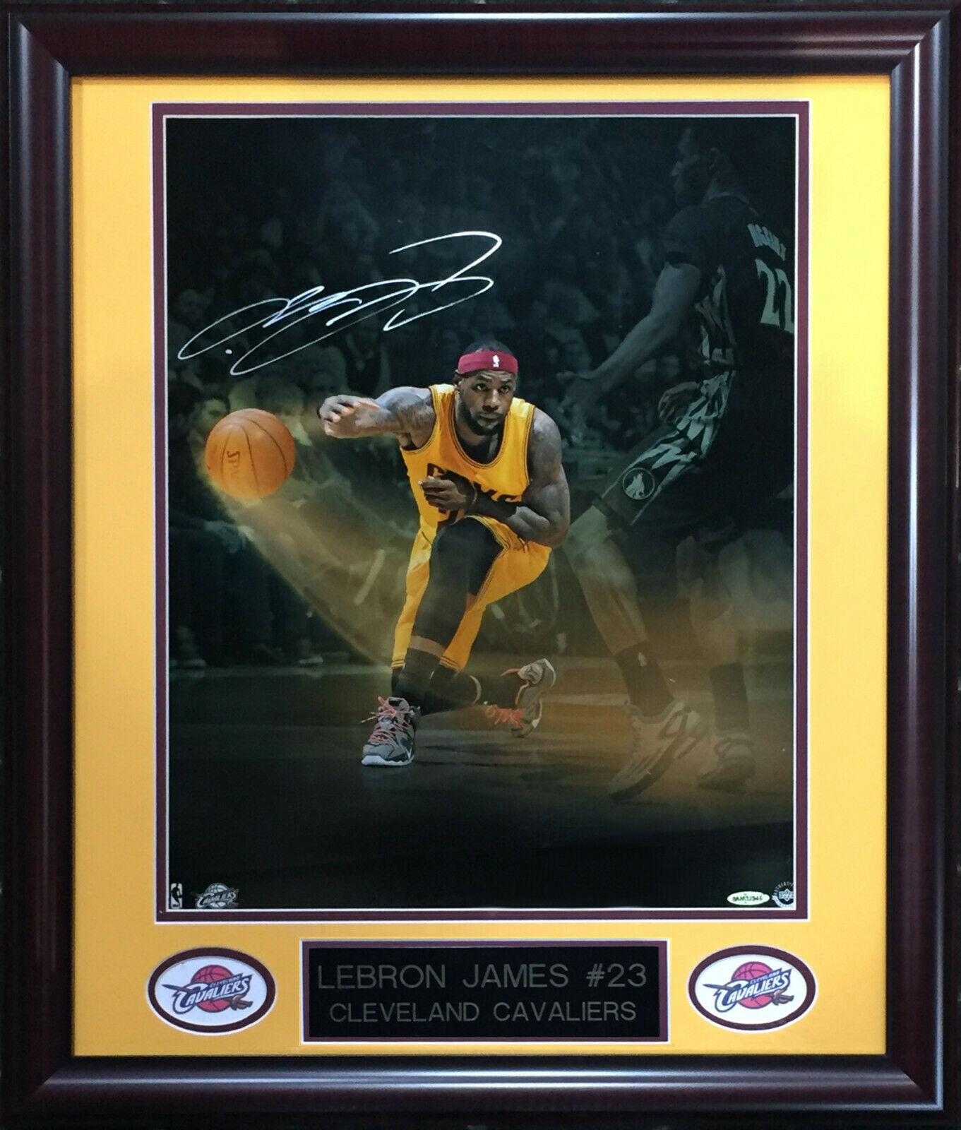 Lebron James Custom Framed Jersey Display with (2) Championship Pins