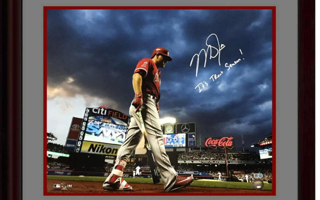 Mike Trout signed 16×20 photo INS Its Trout Season framed autograph MLB Holo COA