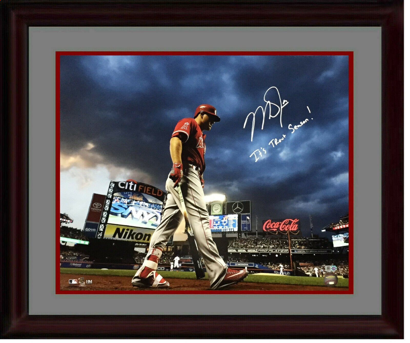 Mike Trout signed 16x20 photo INS Its Trout Season framed autograph MLB  Holo COA - Cardboard Memories