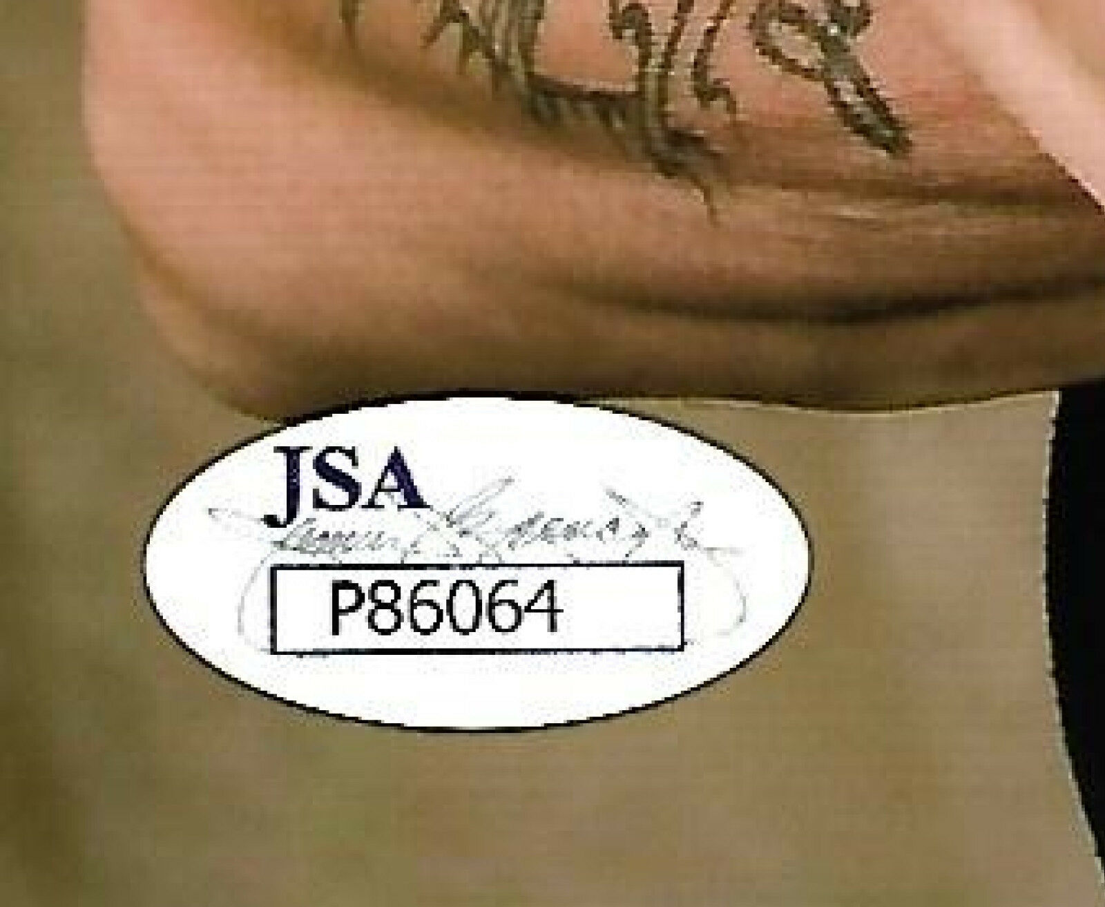 Johnny Depp Edward Scissorhands signed 8x10 photo framed autograph JSA