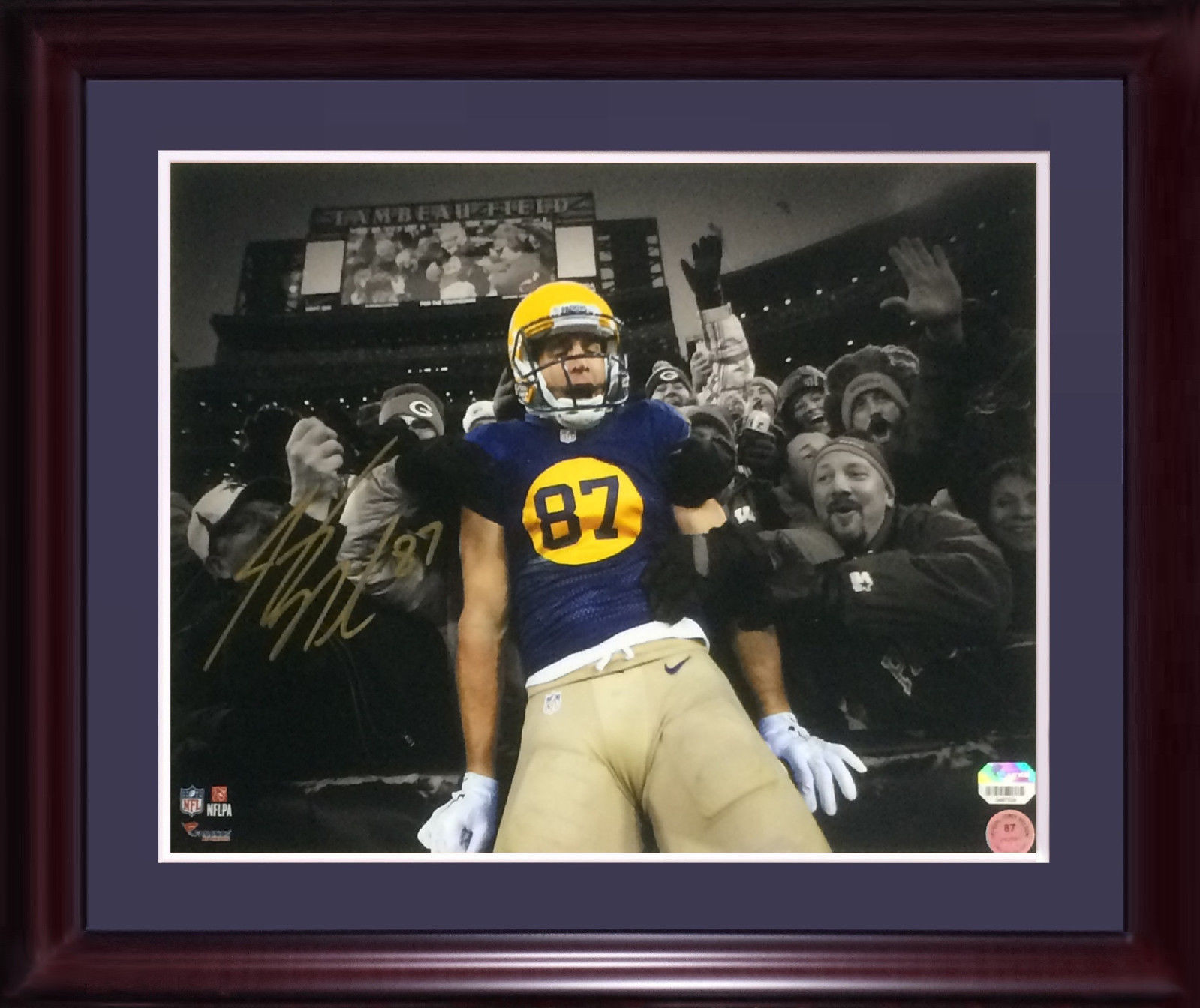 Jordy Nelson Packers signed 11×14 photo framed mint autograph Fanatics COA