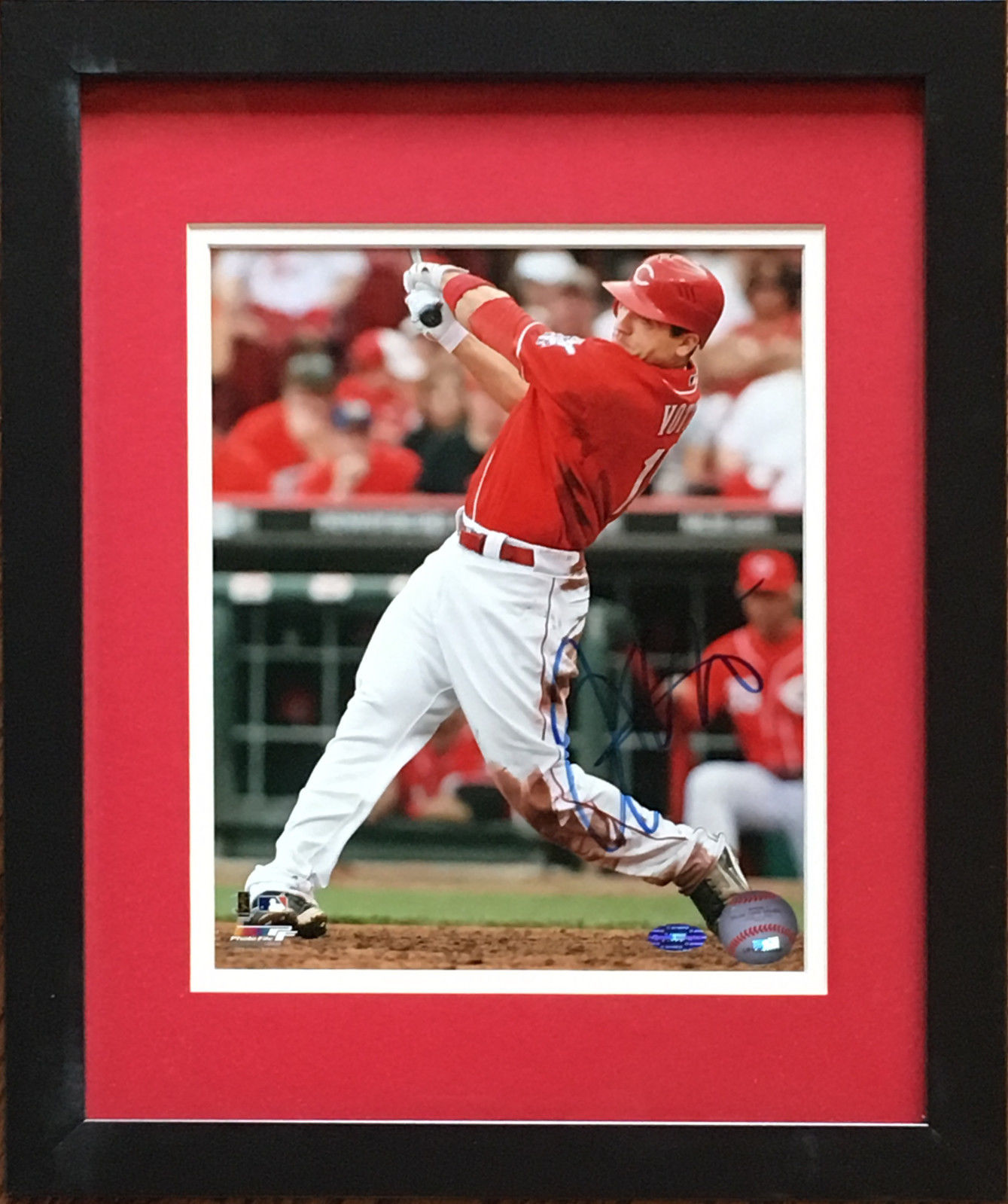 Joey Votto Reds Signed 8×10 Framed Photo autograph Sports Images holo COA MVP